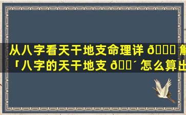 从八字看天干地支命理详 🐞 解「八字的天干地支 🌴 怎么算出来的」